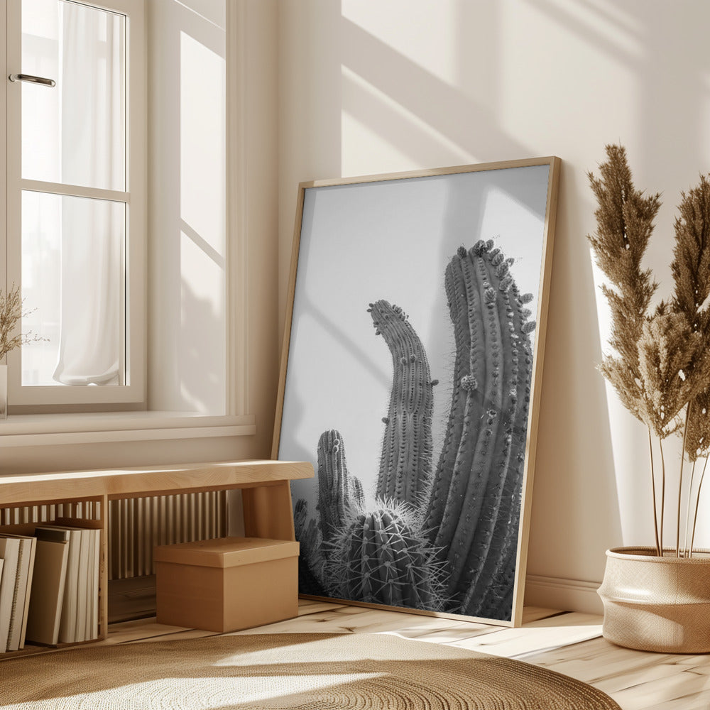 Cactus Poster